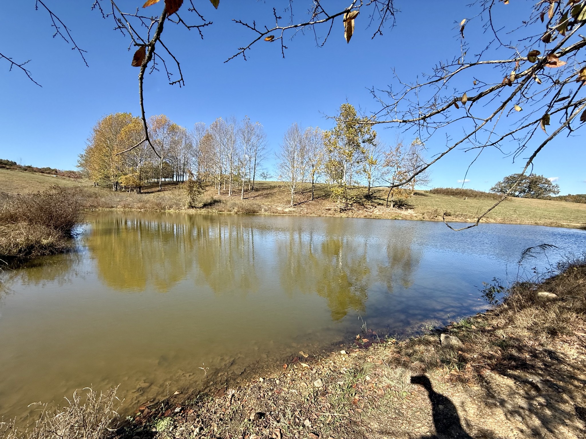 3 Henryville Road Ethridge, TN 38456 - Photo 14 of 16 a view of a lake