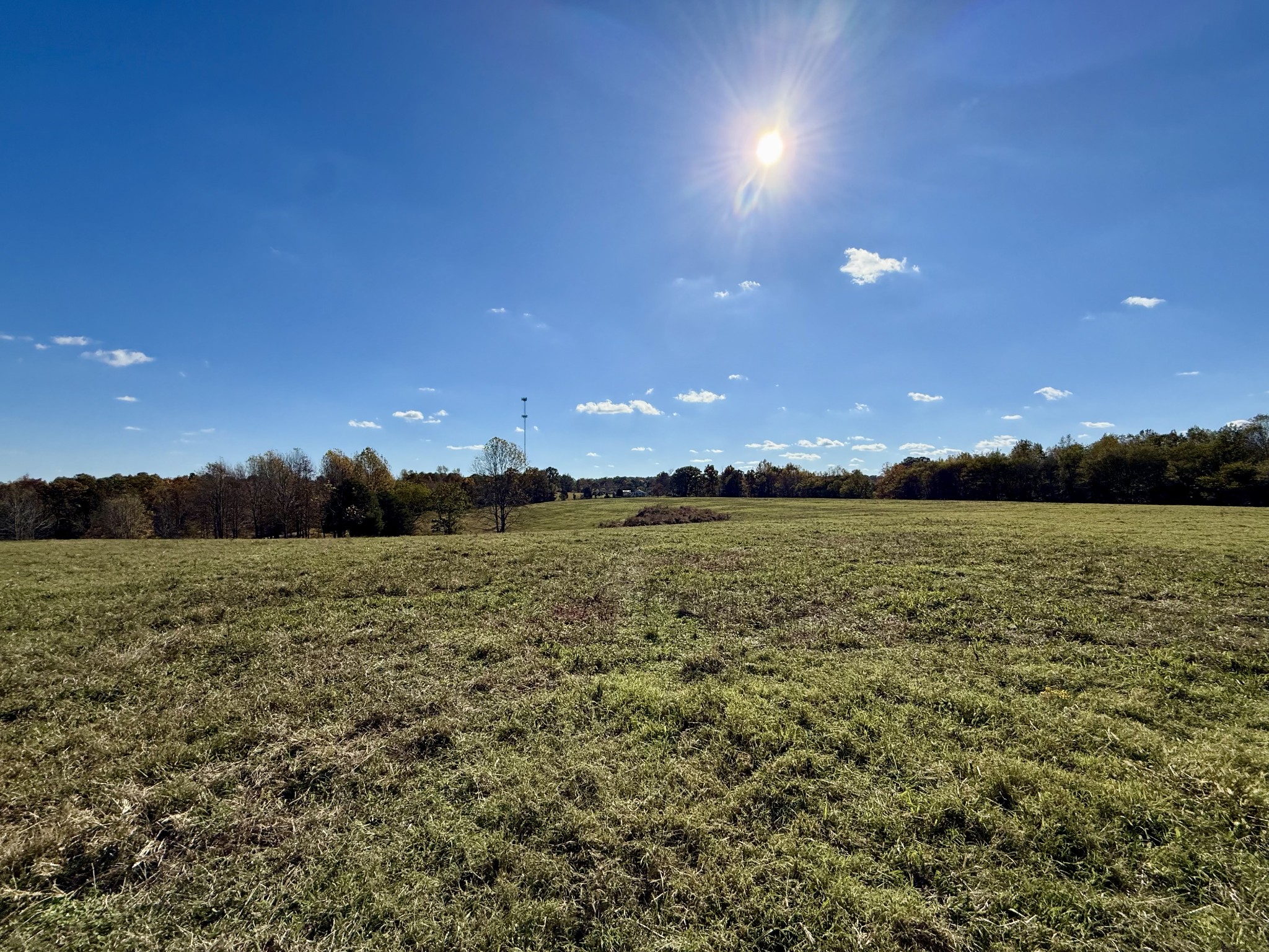 3 Henryville Road Ethridge, TN 38456 - Photo 15 of 16 a view of an ocean in a yard