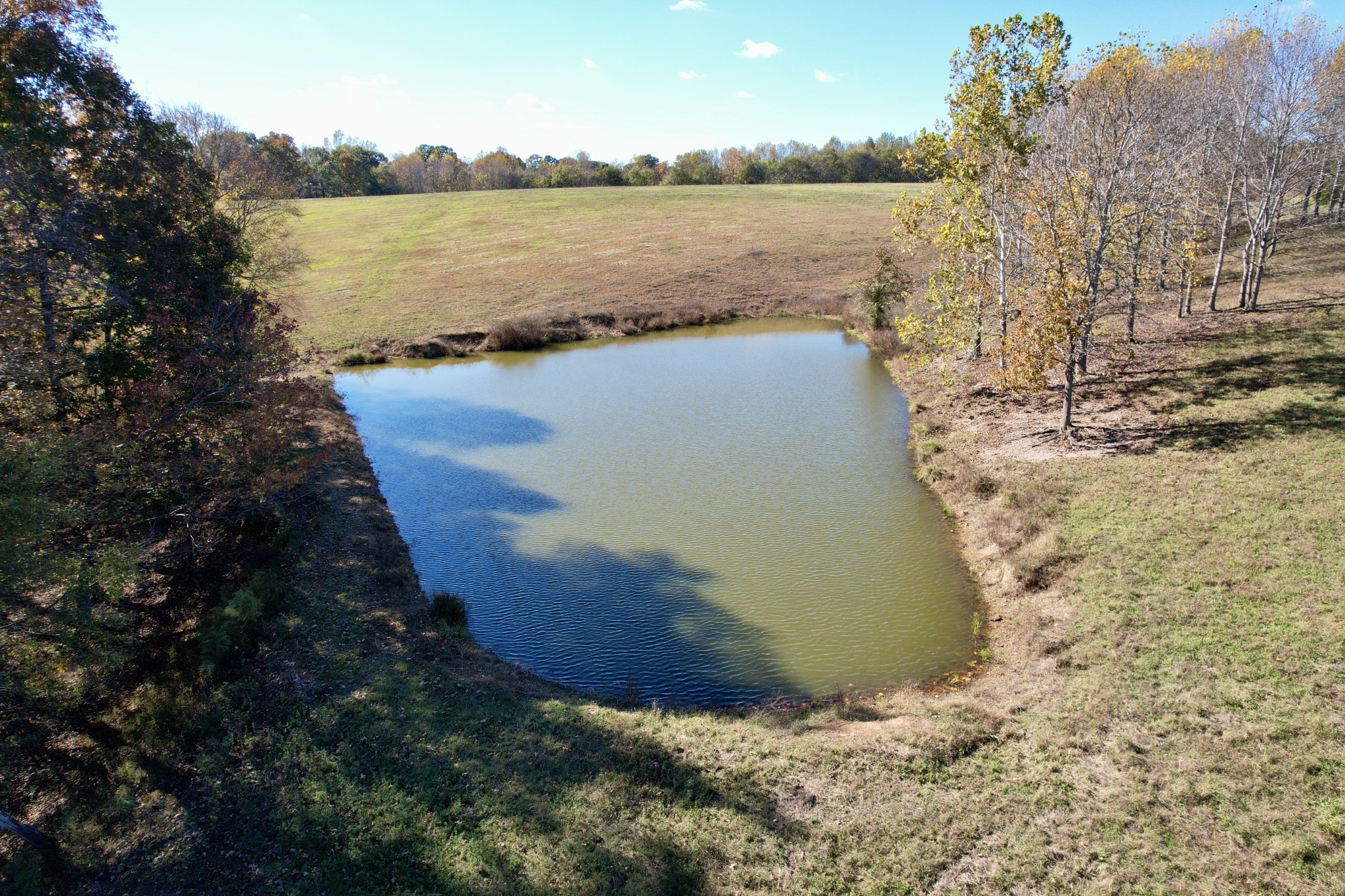 3 Henryville Road Ethridge, TN 38456 - Photo 3 of 16 a view of outdoor space and lake view