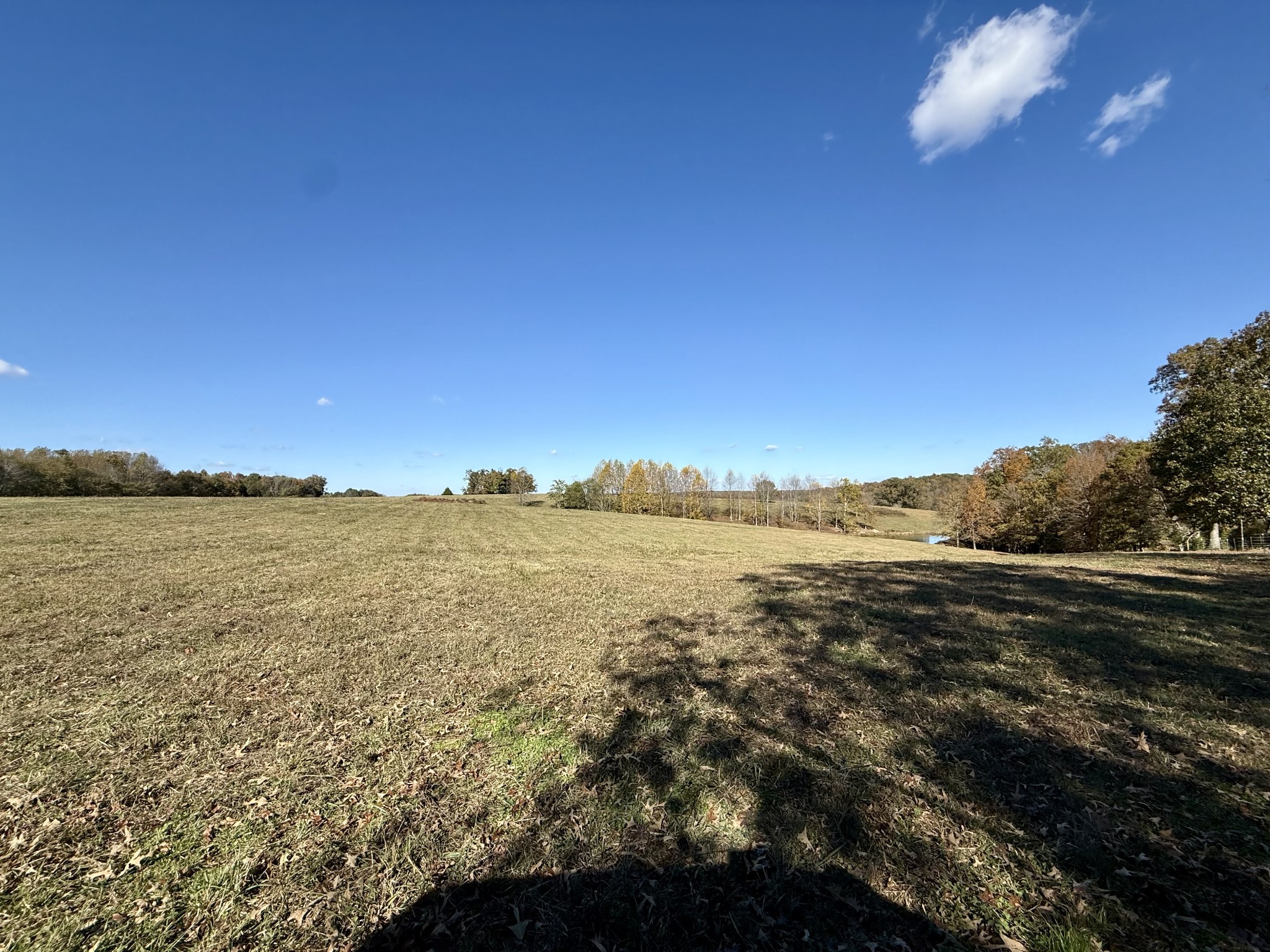 3 Henryville Road Ethridge, TN 38456 - Photo 9 of 16 a view of an ocean and beach