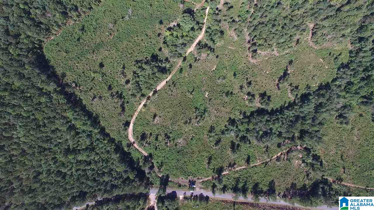 0 Jackson Trail, Unit 140 ACRES Altoona, AL 35952 - Photo 7 of 50