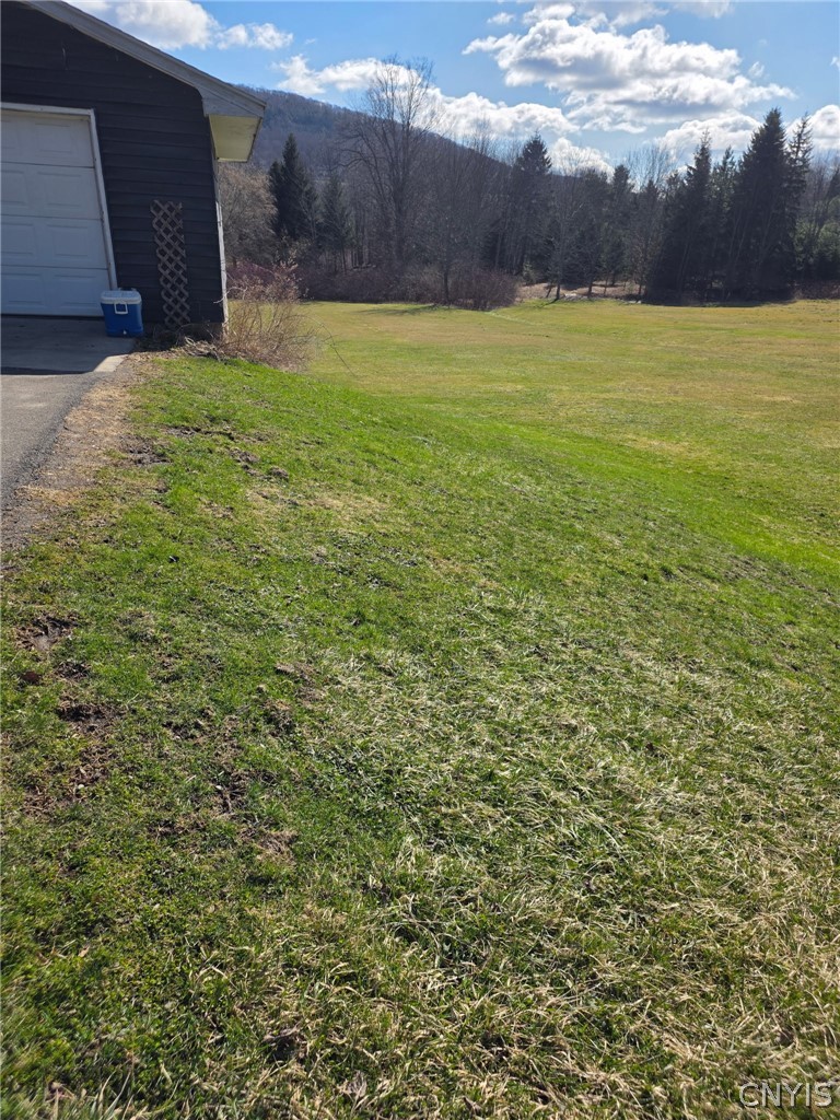 3312 Clute Road Blodgett Mills, NY 13738 - Photo 26 of 31 Side yard