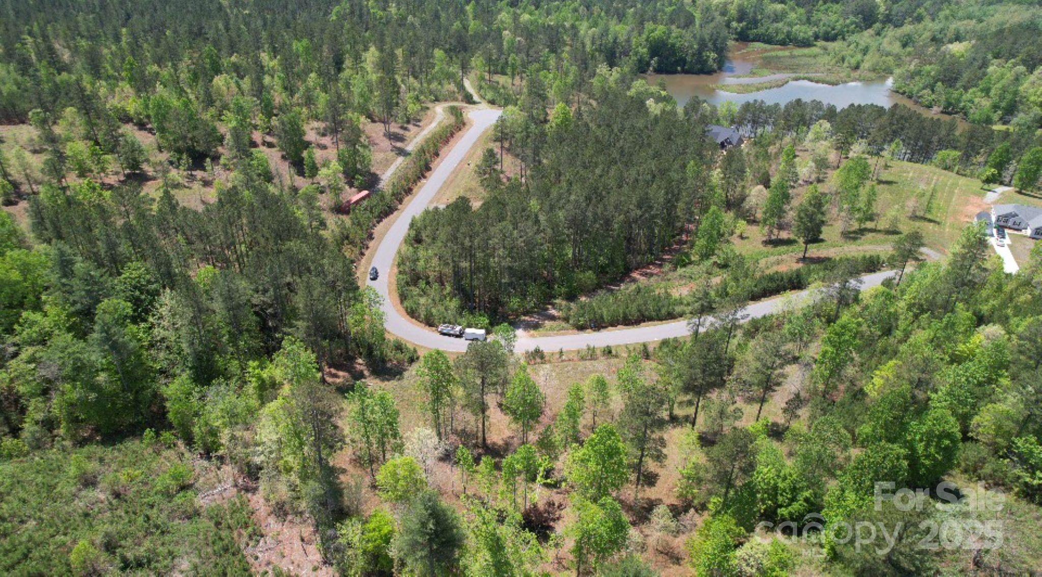 2109 Inlt Shr Road Northeast Connelly Springs, NC 28612 - Photo 27 of 34 a view of a forest with a tree
