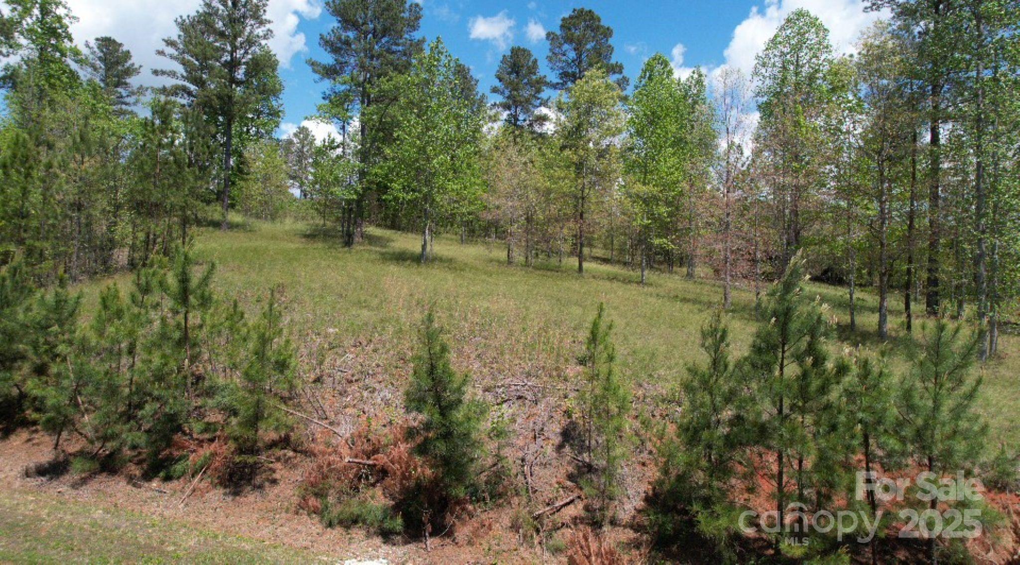2109 Inlt Shr Road Northeast Connelly Springs, NC 28612 - Photo 29 of 34 a view of a lush green forest with large trees