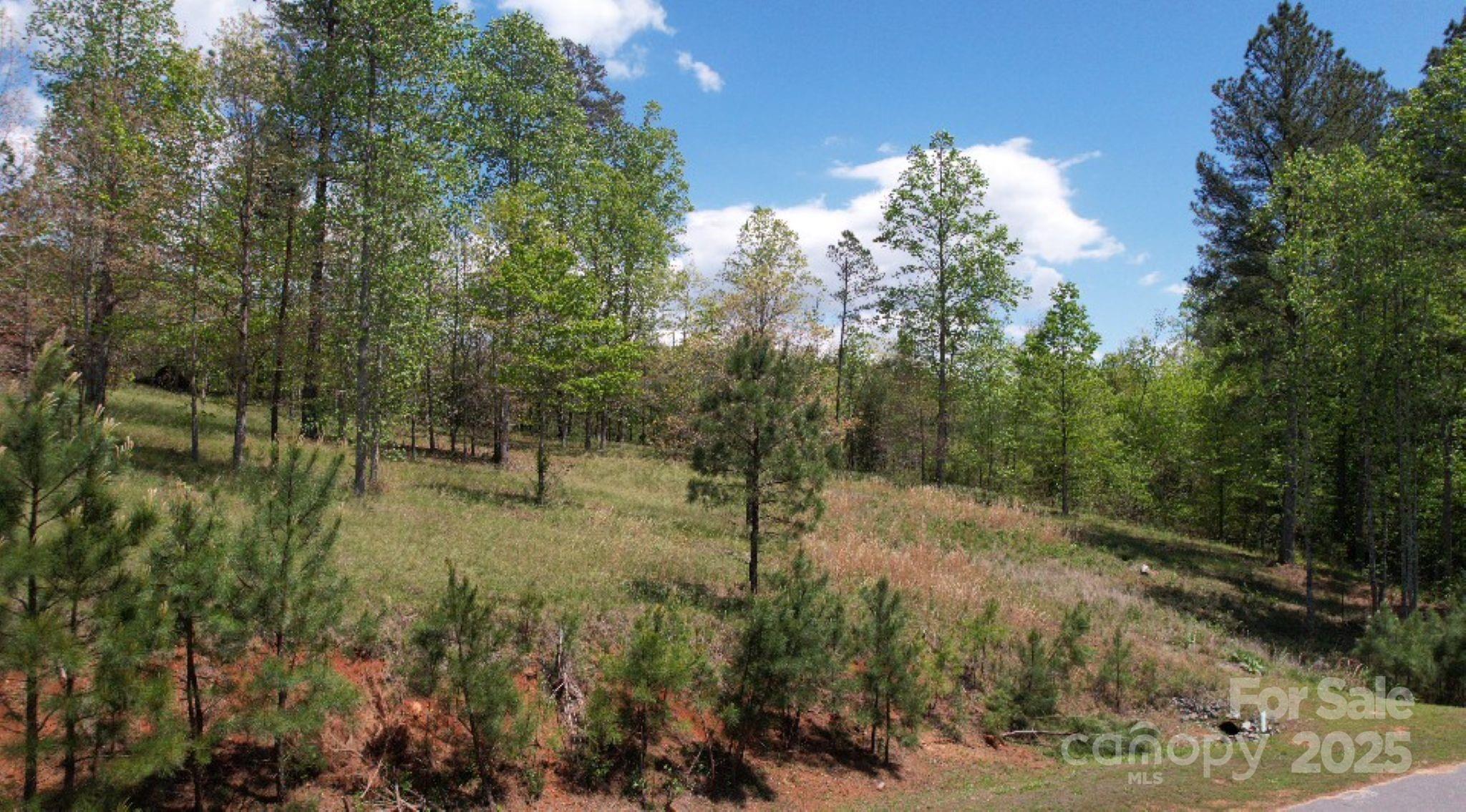2109 Inlt Shr Road Northeast Connelly Springs, NC 28612 - Photo 30 of 34 a view of a forest with trees