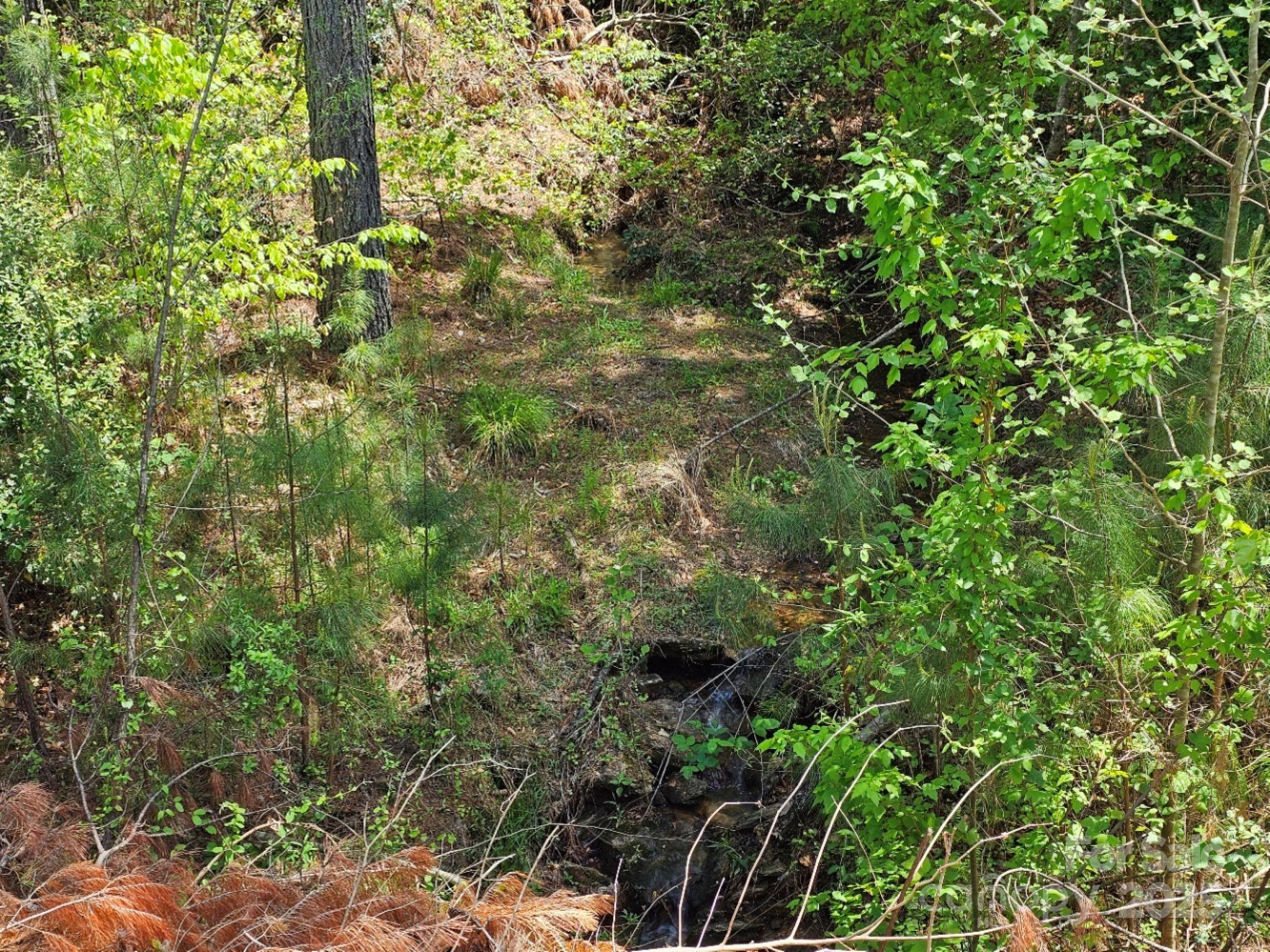 2109 Inlt Shr Road Northeast Connelly Springs, NC 28612 - Photo 31 of 34 a view of a lush green forest