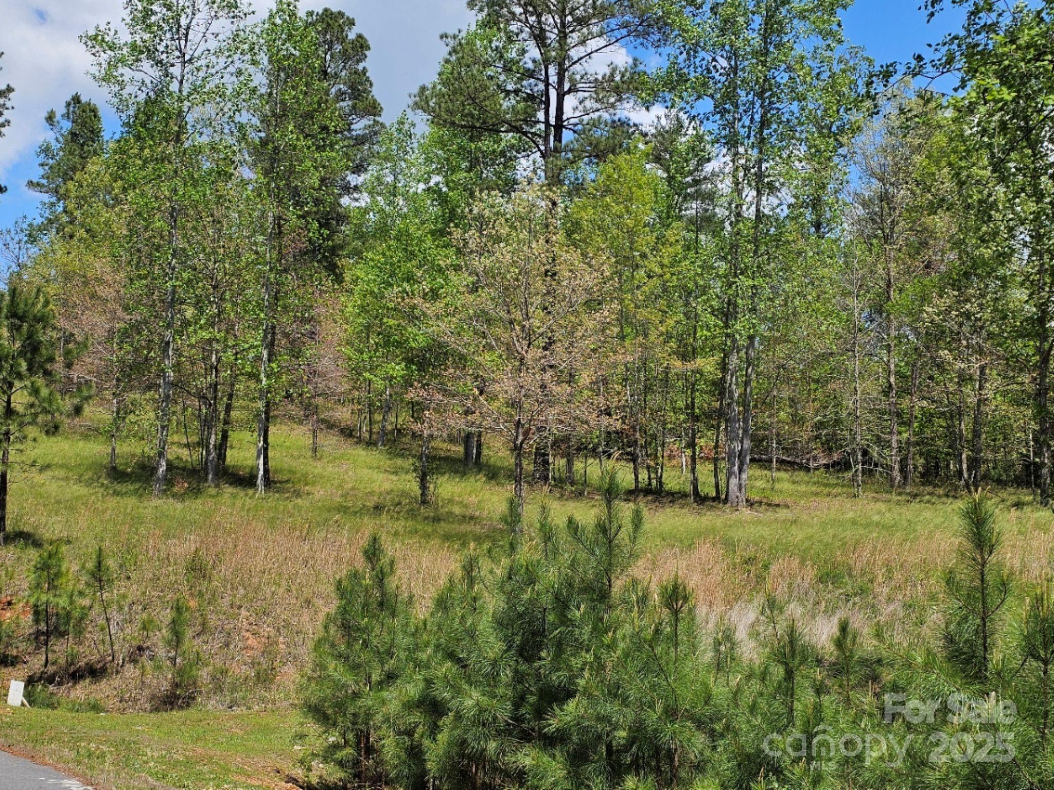 2109 Inlt Shr Road Northeast Connelly Springs, NC 28612 - Photo 32 of 34 a view of a park with large trees