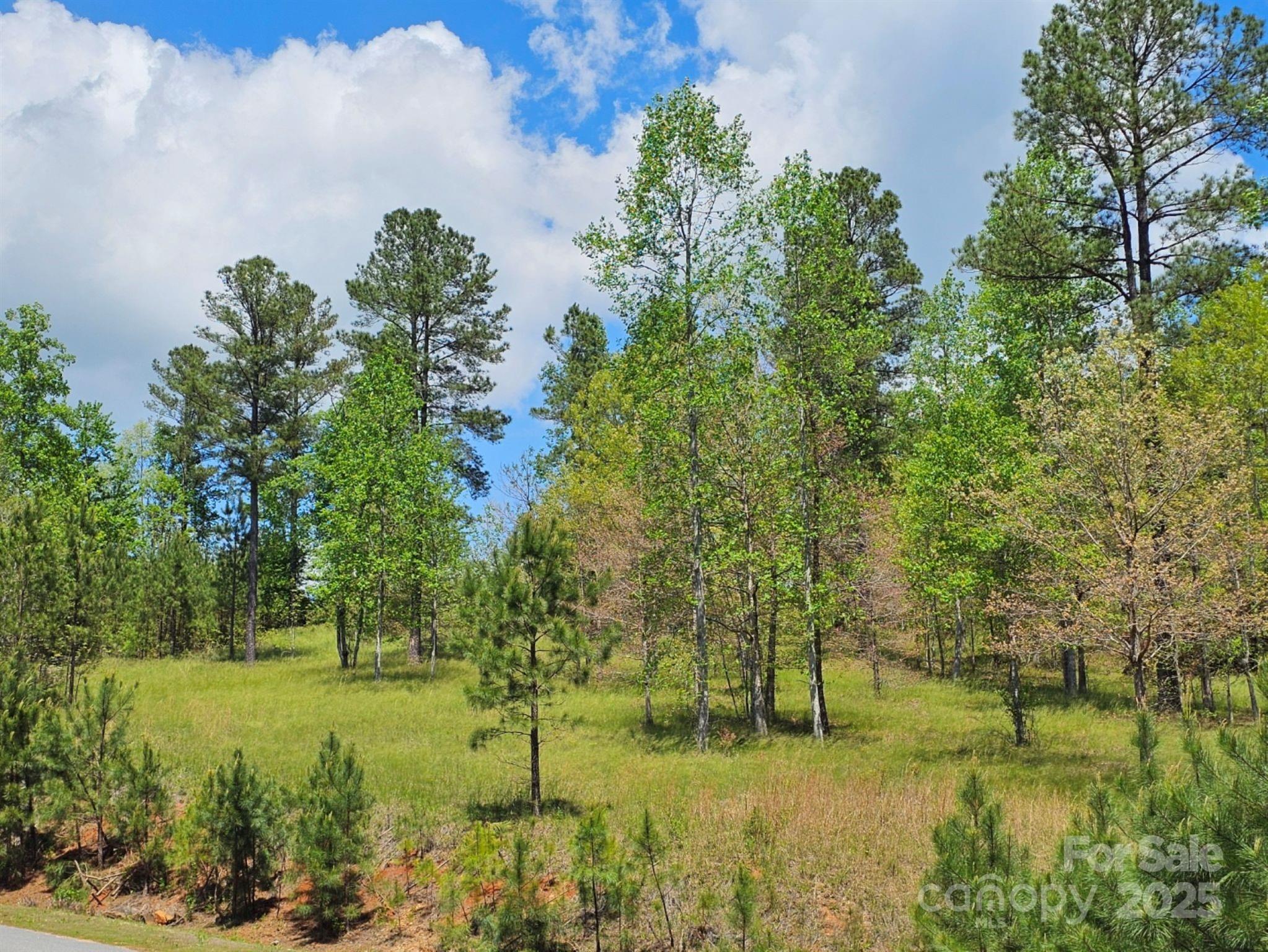 2109 Inlt Shr Road Northeast Connelly Springs, NC 28612 - Photo 33 of 34 a view of an outdoor space and a yard
