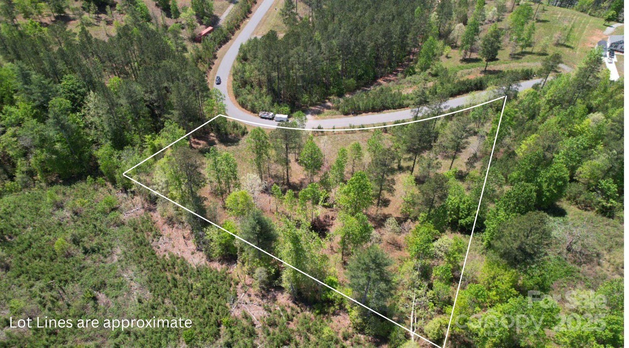 2109 Inlt Shr Road Northeast Connelly Springs, NC 28612 - Photo 34 of 34 an aerial view of a house with a yard and large trees