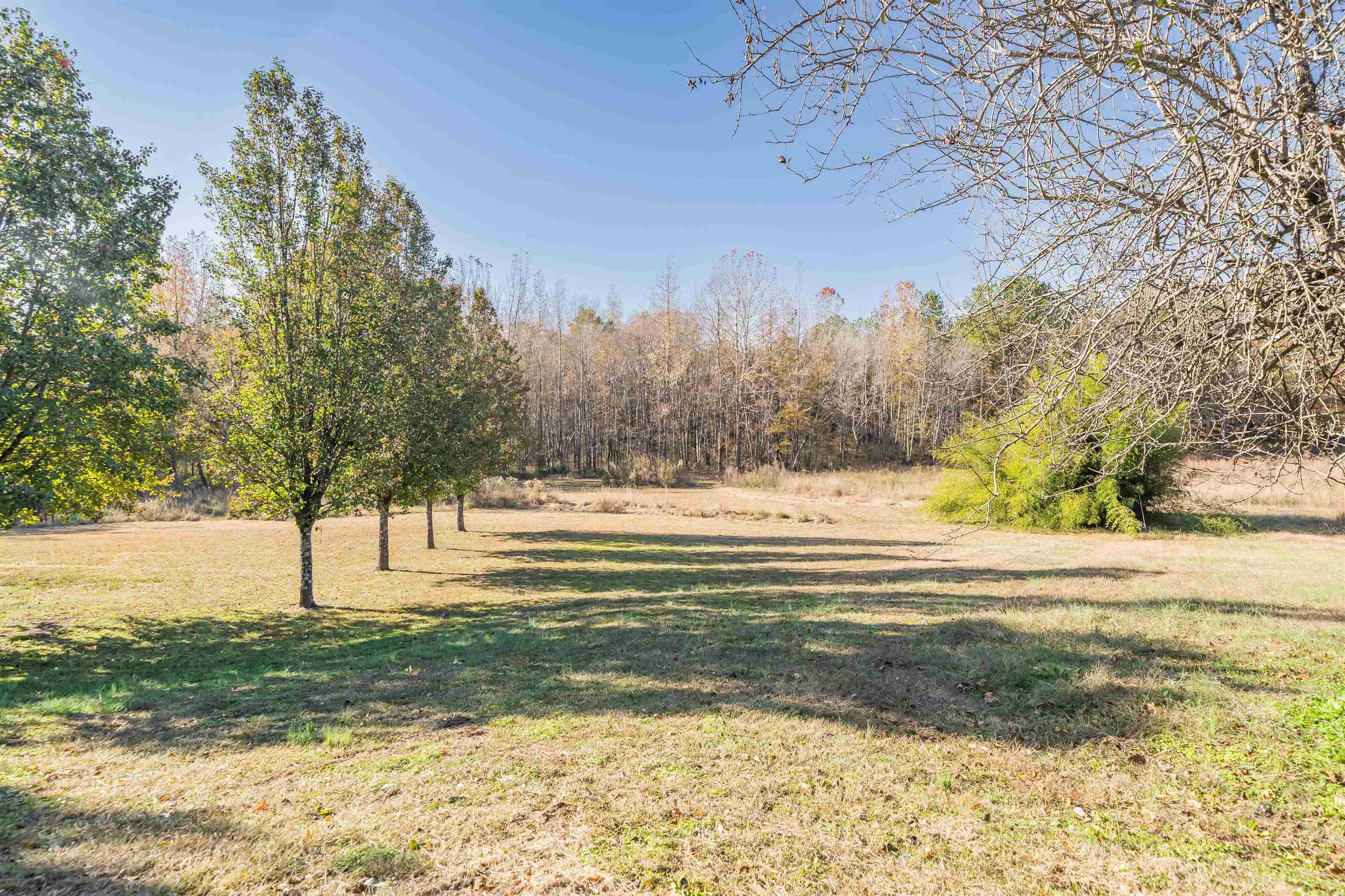 1070 Pine Top Road Toone, TN 38381 - Photo 26 of 30 a view of yard with large trees