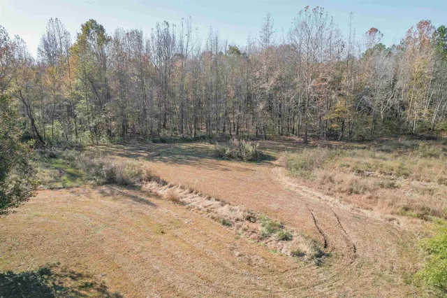 a view of a yard with trees in the background