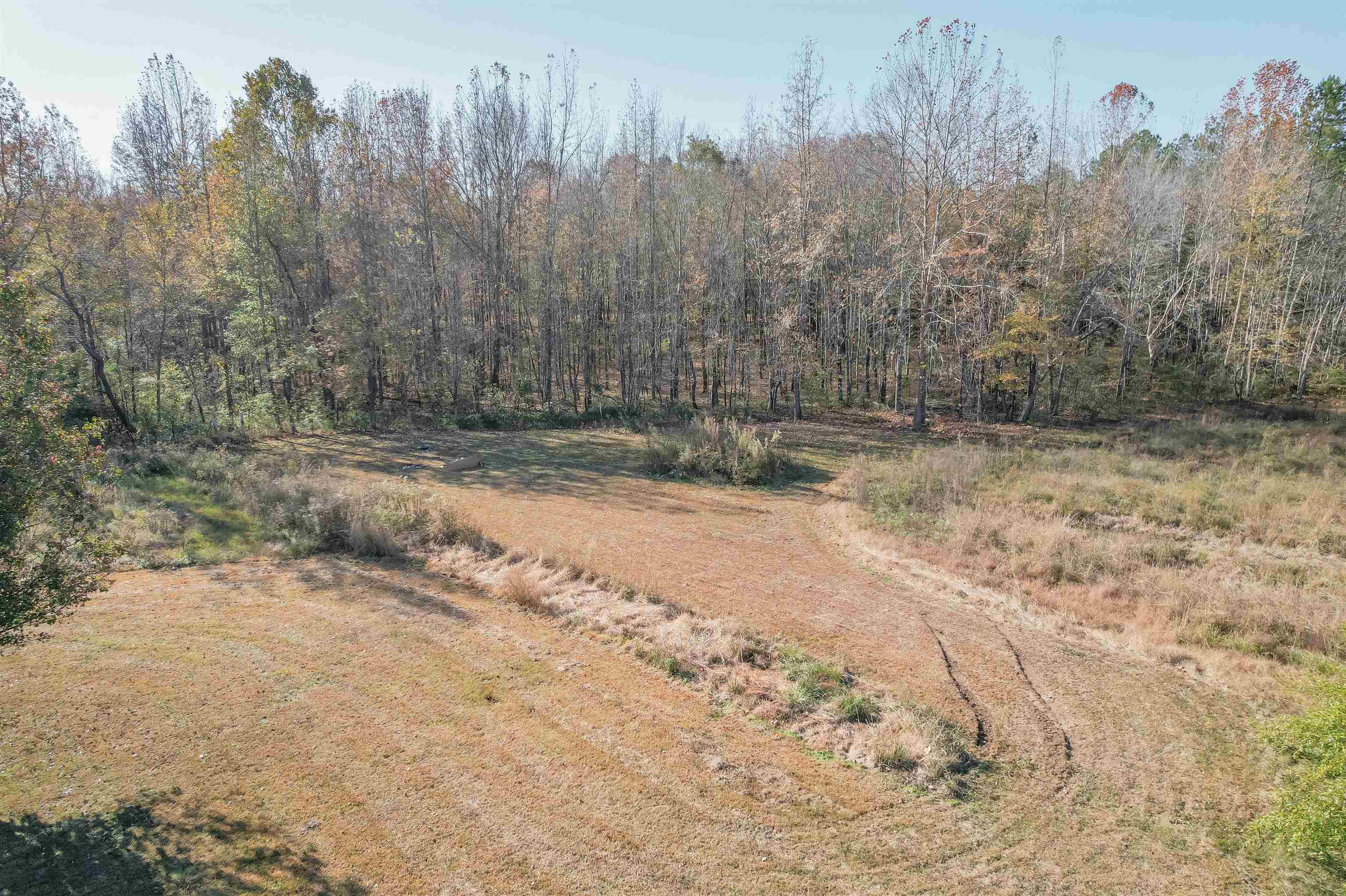 1070 Pine Top Road Toone, TN 38381 - Photo 27 of 30 a view of a yard with trees in the background