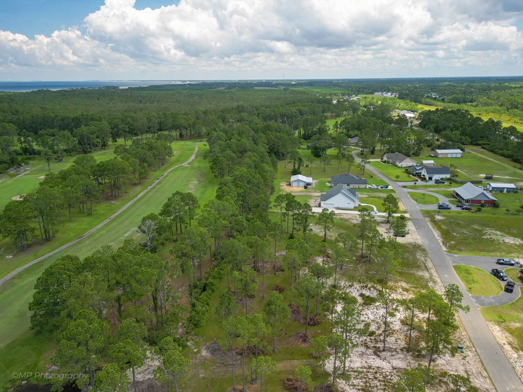 Lot 14 Cape Plantation Road Port St. Joe, FL 32456 - Photo 4 of 7