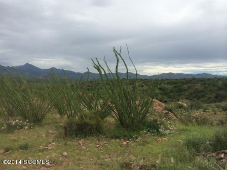 Tbd Tbd Camino Carina Rio Rico, AZ 85648 - Photo 9 of 10