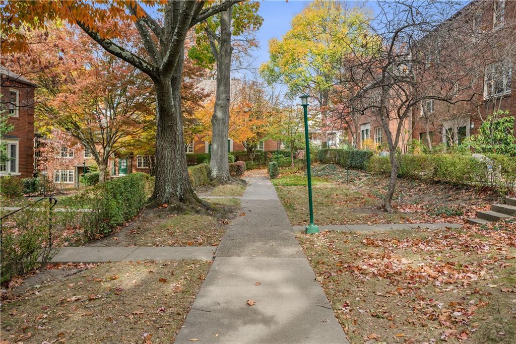 420 Sulgrave Road Pittsburgh, PA 15211 - Photo 33 of 35 a view of a park with large trees