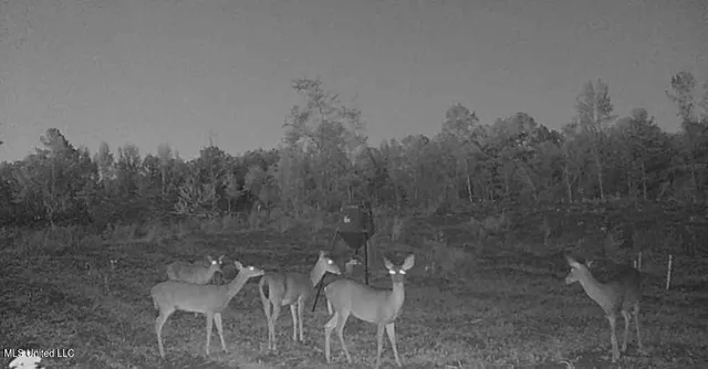 $308,990 | 839 Mt Pilgrim Road, Camden, MS 39045