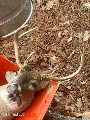 $308,990 | 839 Mt Pilgrim Road, Camden, MS 39045