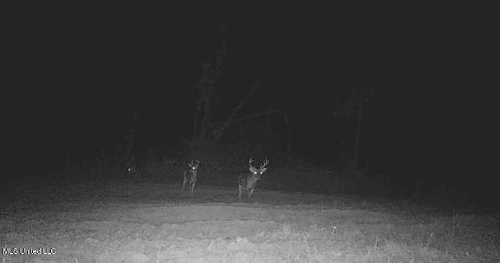 839 Mt Pilgrim Road Camden, MS 39045 - Photo 29 of 34 IMG_3858