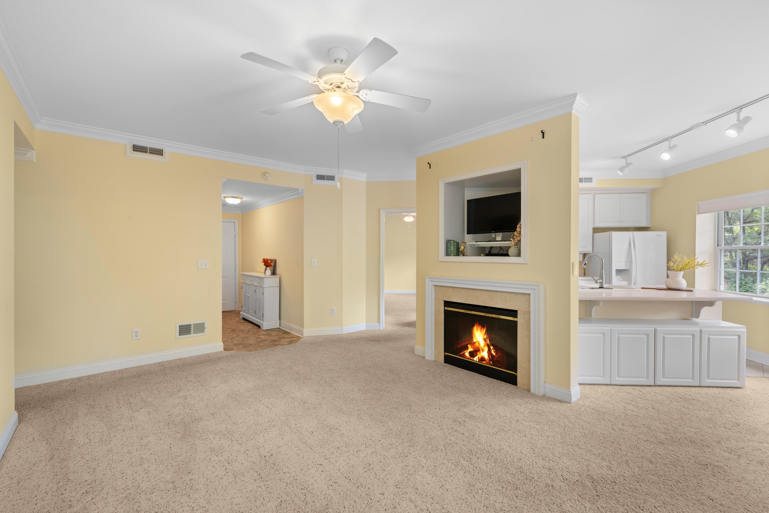 1410 North Coalter Street, Unit 202 Staunton, VA 24401 - Photo 12 of 52 a view of a livingroom with a fireplace a chandelier and windows