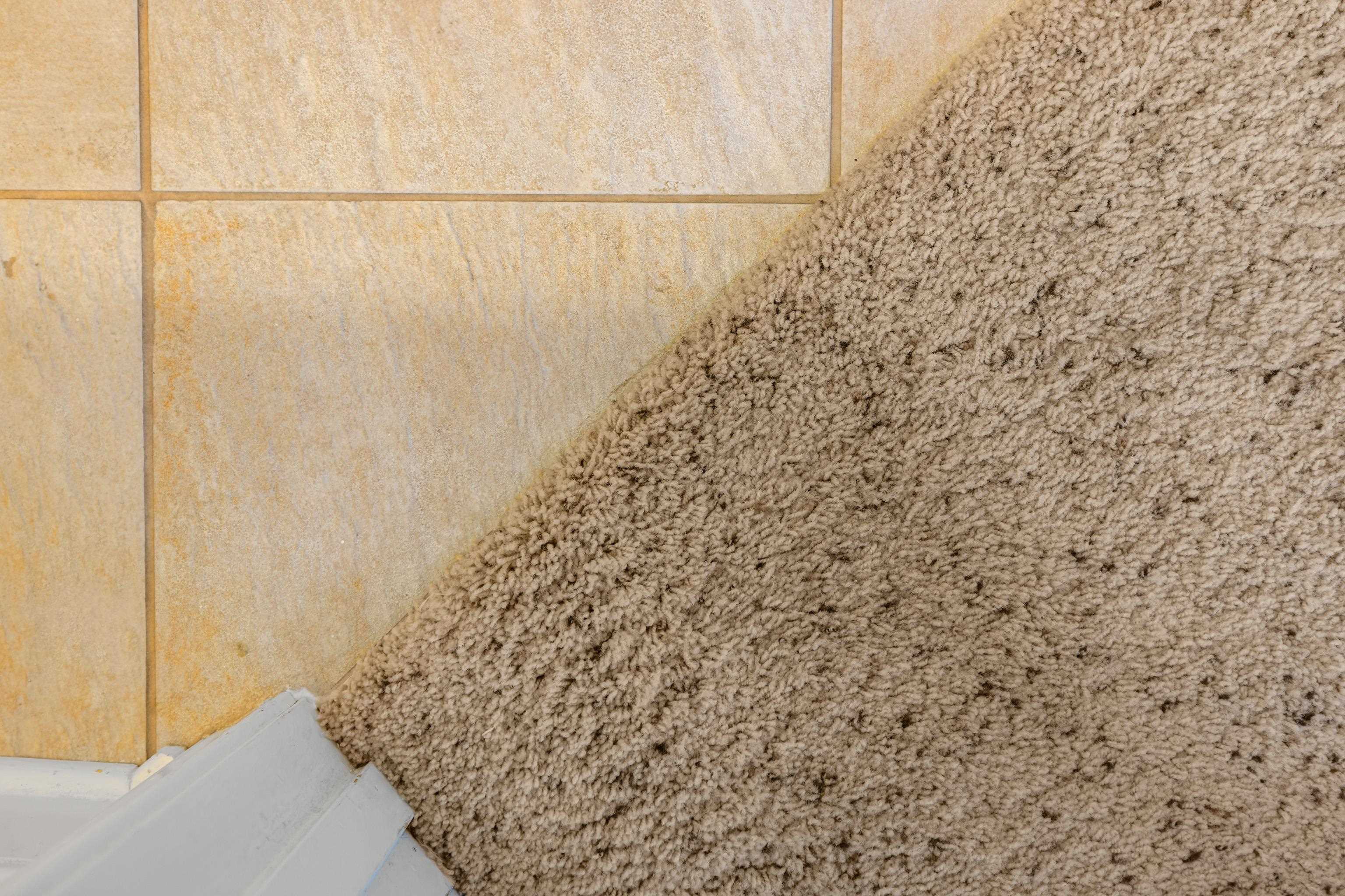 1410 North Coalter Street, Unit 202 Staunton, VA 24401 - Photo 17 of 52 a bathroom with a shower