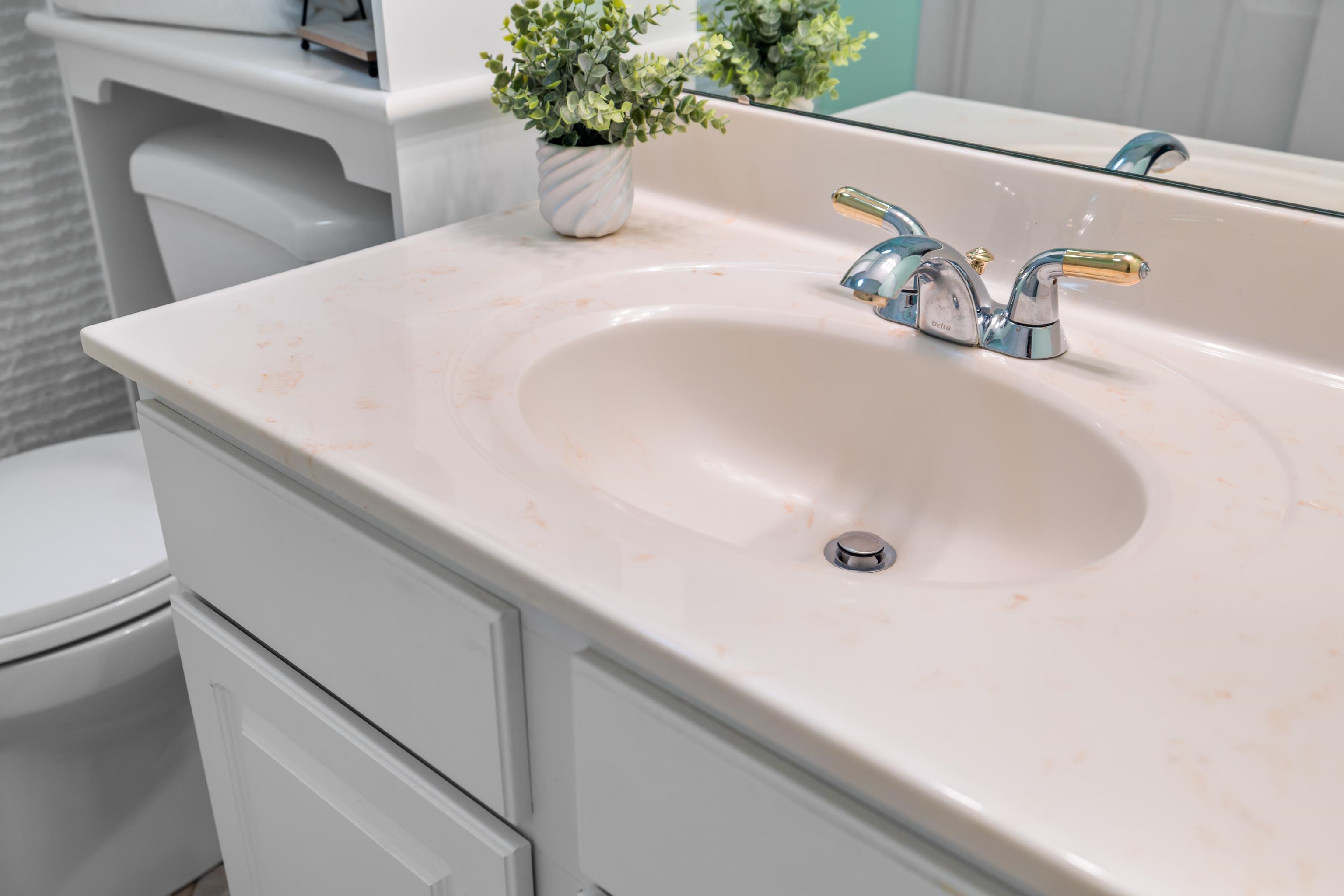 1410 North Coalter Street, Unit 202 Staunton, VA 24401 - Photo 38 of 52 a close view of sink