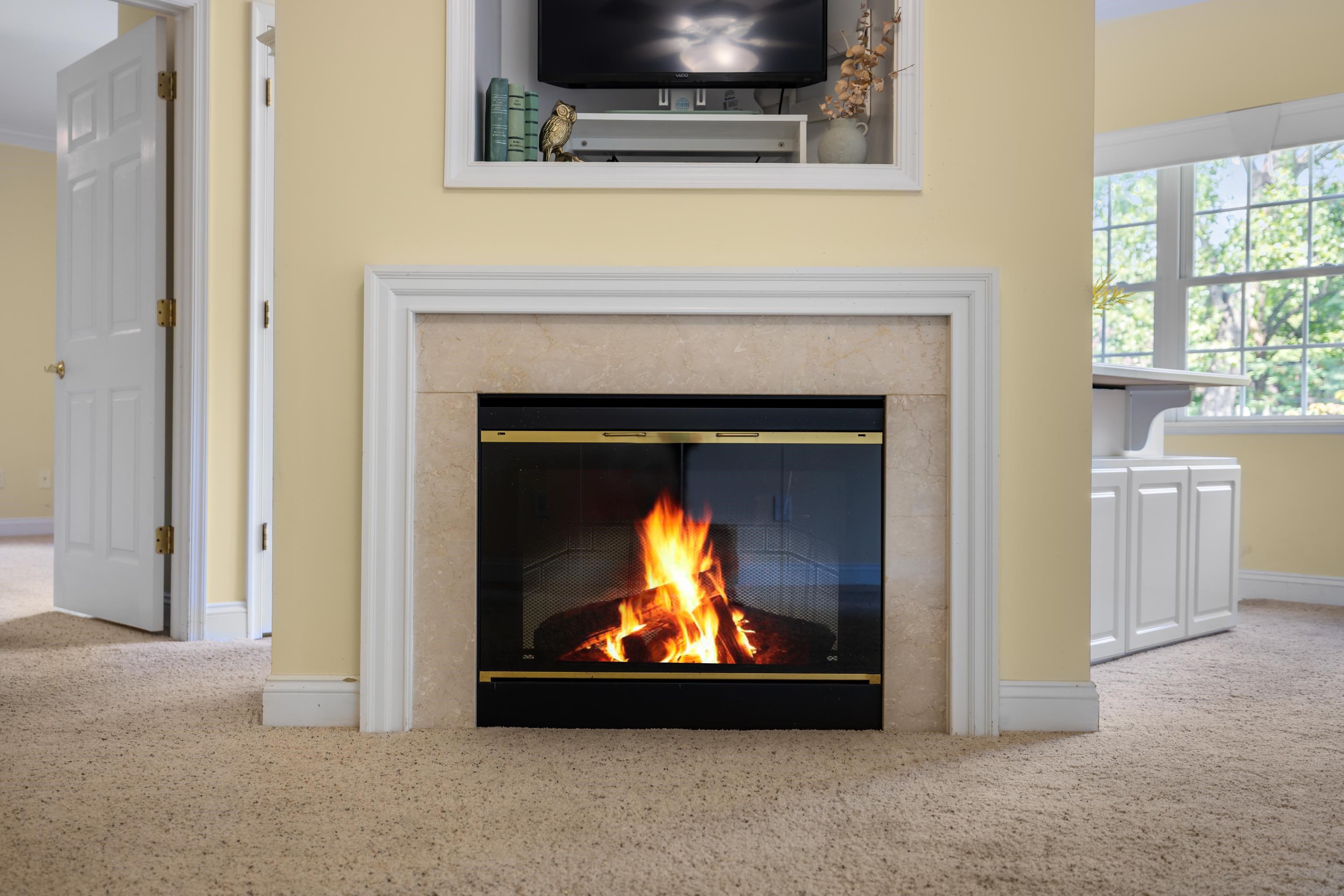 1410 North Coalter Street, Unit 202 Staunton, VA 24401 - Photo 10 of 52 a living room with a fireplace and a fireplace