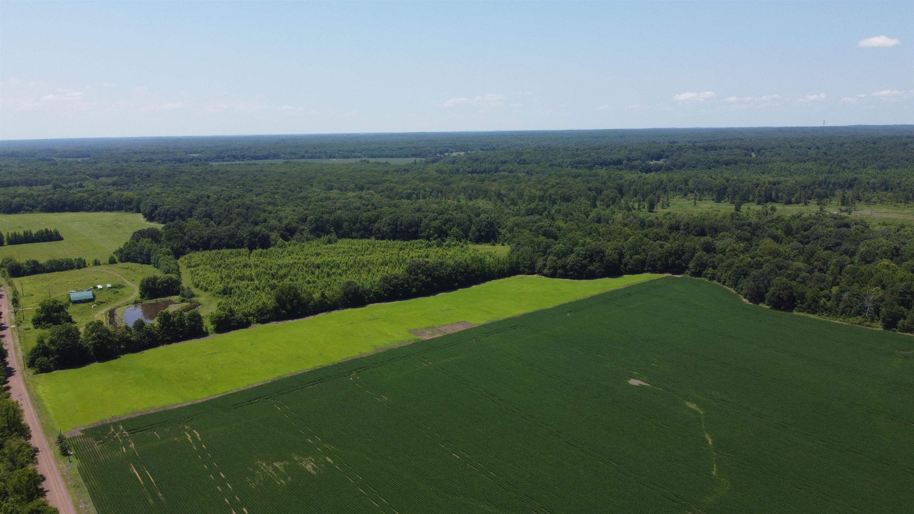 20-acres Liberty Road Moscow, TN 38057 - Photo 5 of 9