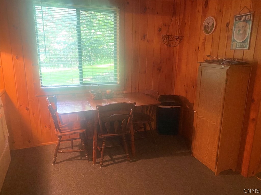 Putt Brook Road Scio, NY 14880 - Photo 11 of 26