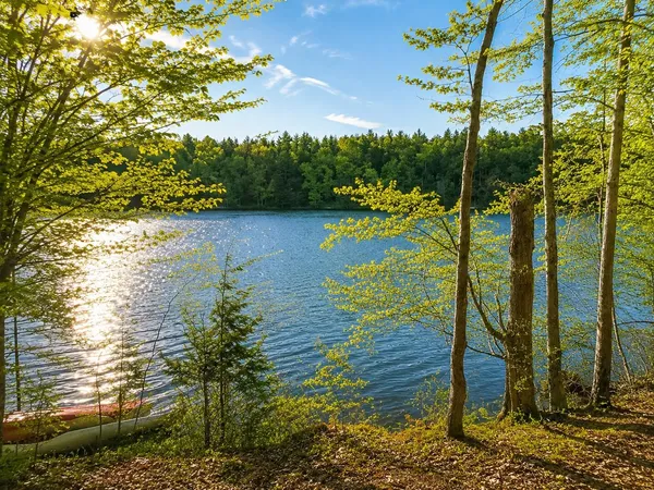 $150,000 | Vl Heather Ridge Trail, Beulah, MI 49617