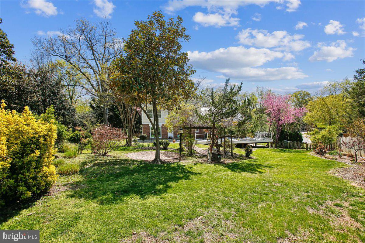 1305 Key Drive Alexandria, VA 22302 - Photo 62 of 64 a view of a park with large trees