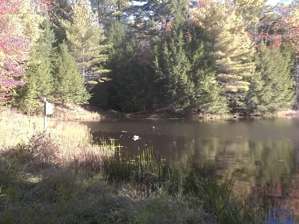 151 Pooler Pit Road Wiscasset, ME 04578 - Photo 19 of 23 Photo