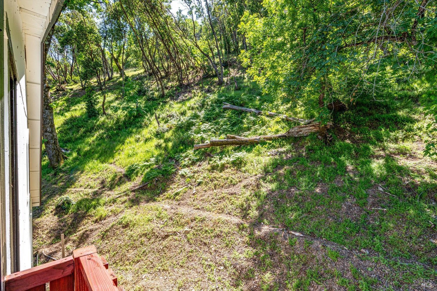 168 Ridgecrest Drive Napa, CA 94558 - Photo 29 of 39 a view of a yard