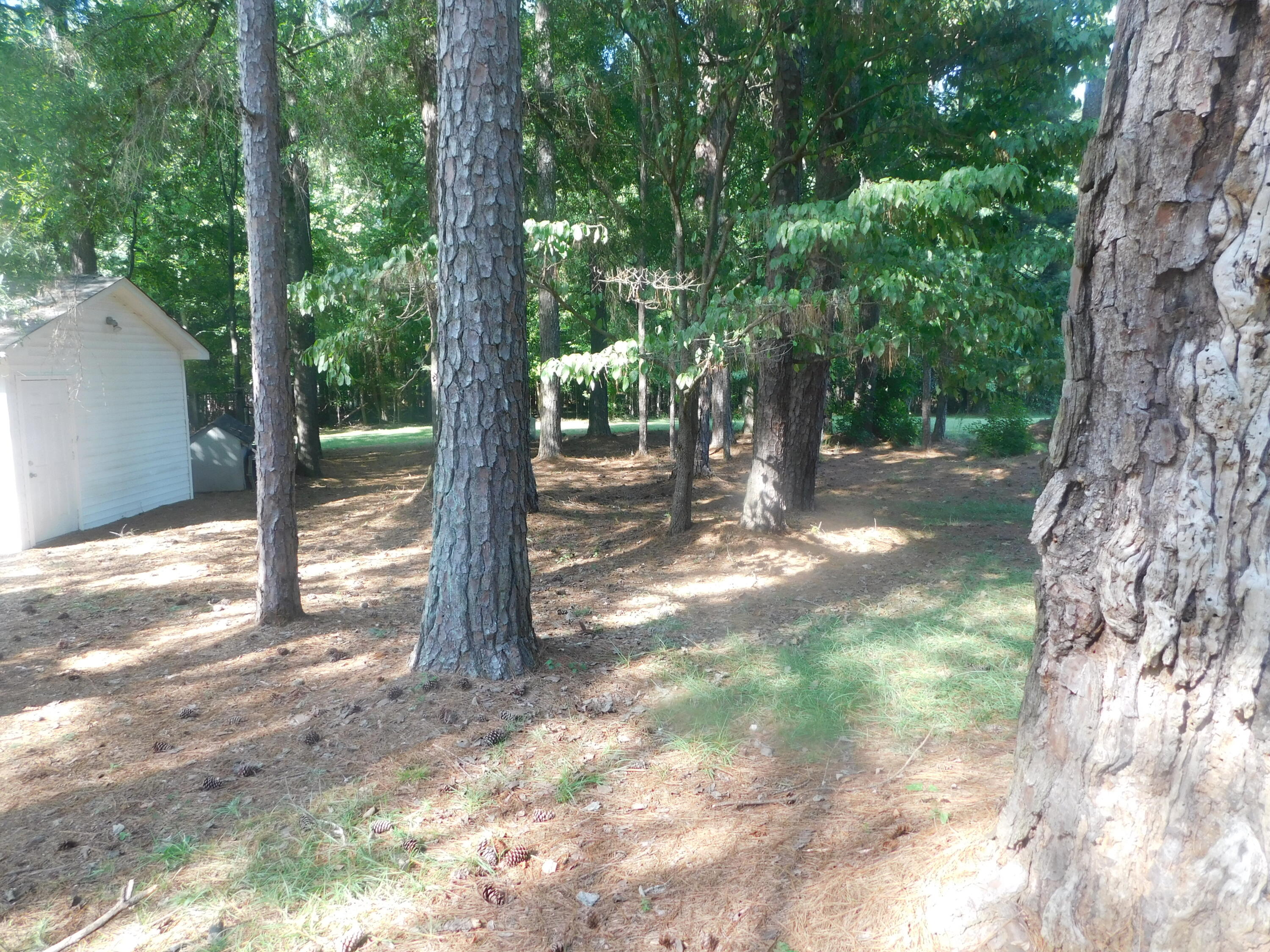4409 Chamberlain S Ferry Road Lincolnton, GA 30817 - Photo 12 of 37 DSCN0928
