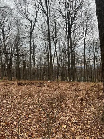 $44,900 | 1 Todd Pass, James Creek, PA 16657