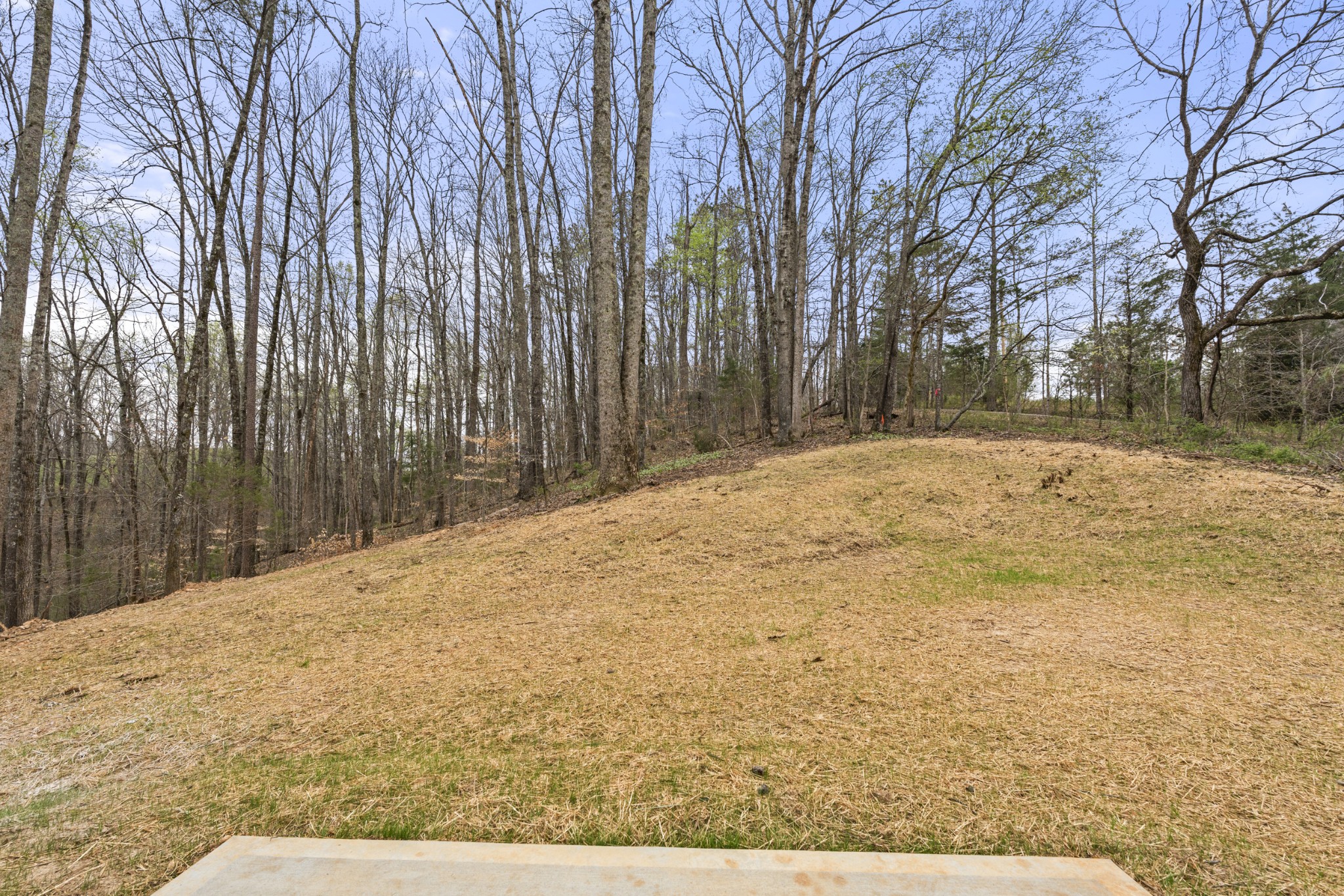 2248 Garners Creek Road Dickson, TN 37055 - Photo 26 of 30