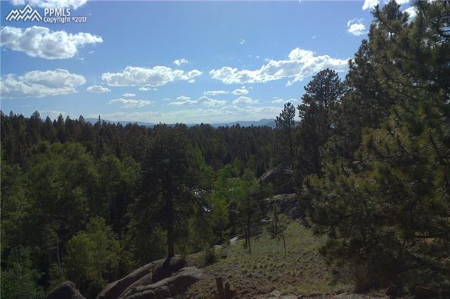 189 Tidi Road Florissant, CO 80816 - Photo 18 of 28