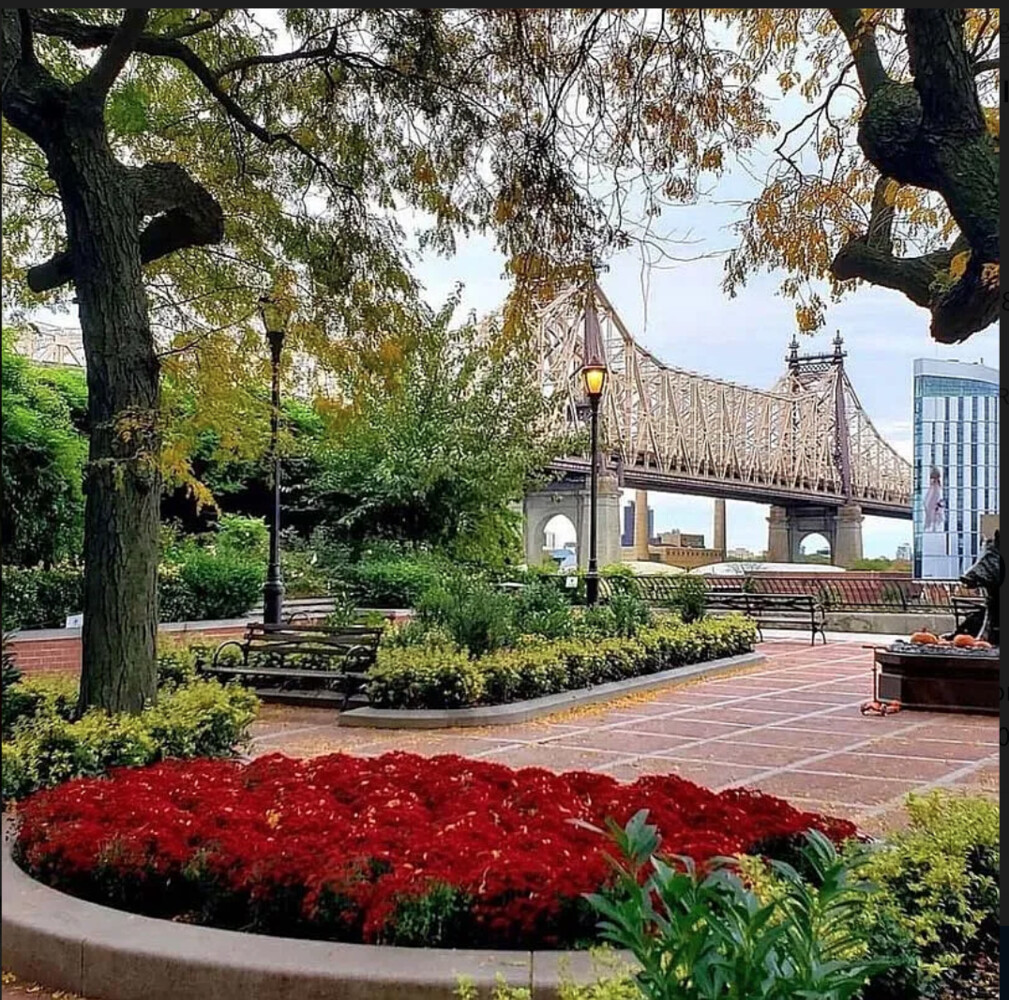 45 Sutton Place South, Unit 11J Manhattan, NY 10022 - Photo 17 of 19 a view of a garden