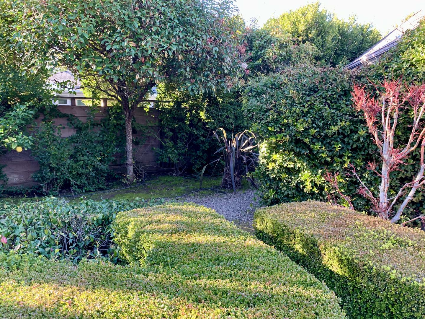 628 Alhambra Road San Mateo, CA 94402 - Photo 15 of 17 a view of backyard with swimming pool