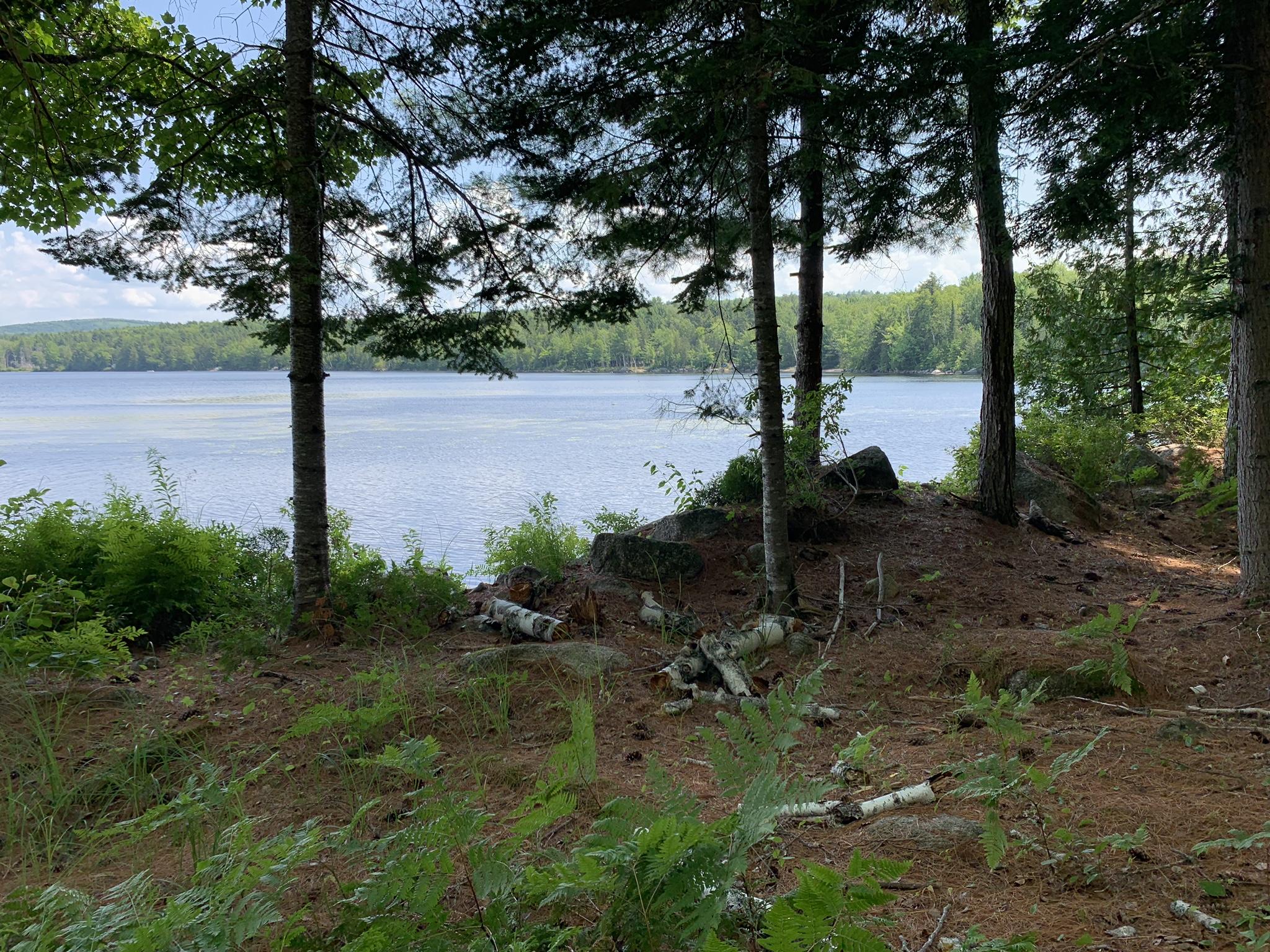 Lot 20 Madagascal Pond Road Burlington, ME 04417 - Photo 7 of 12 IMG_1983