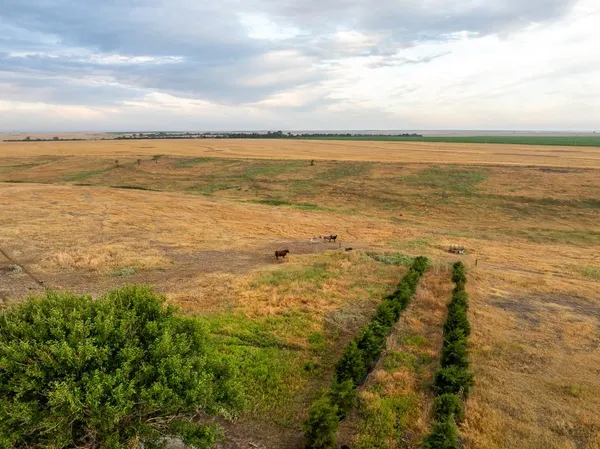 $475,000 | W Road, Hoxie, KS 67740
