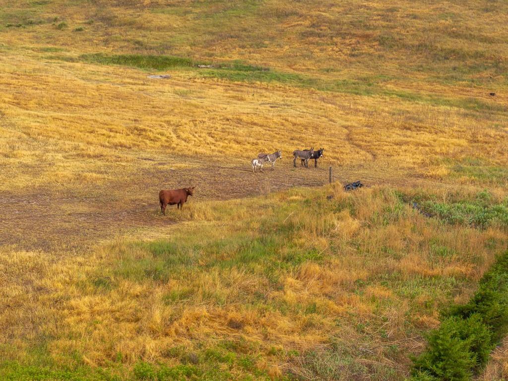 W Road Hoxie, KS 67740 - Photo 36 of 76