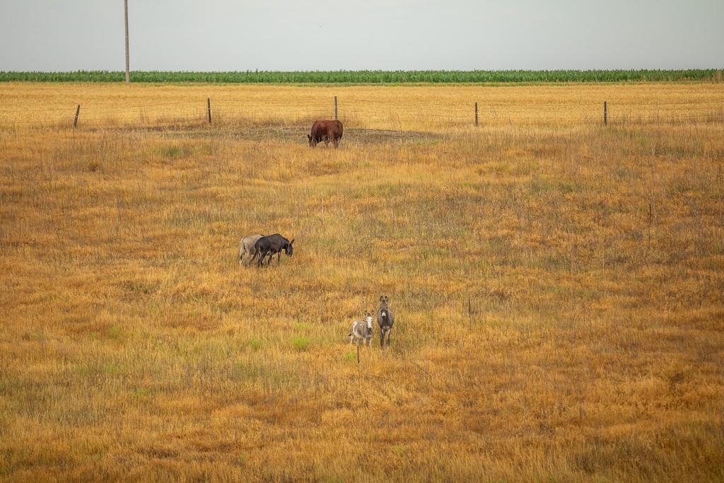 W Road Hoxie, KS 67740 - Photo 75 of 76