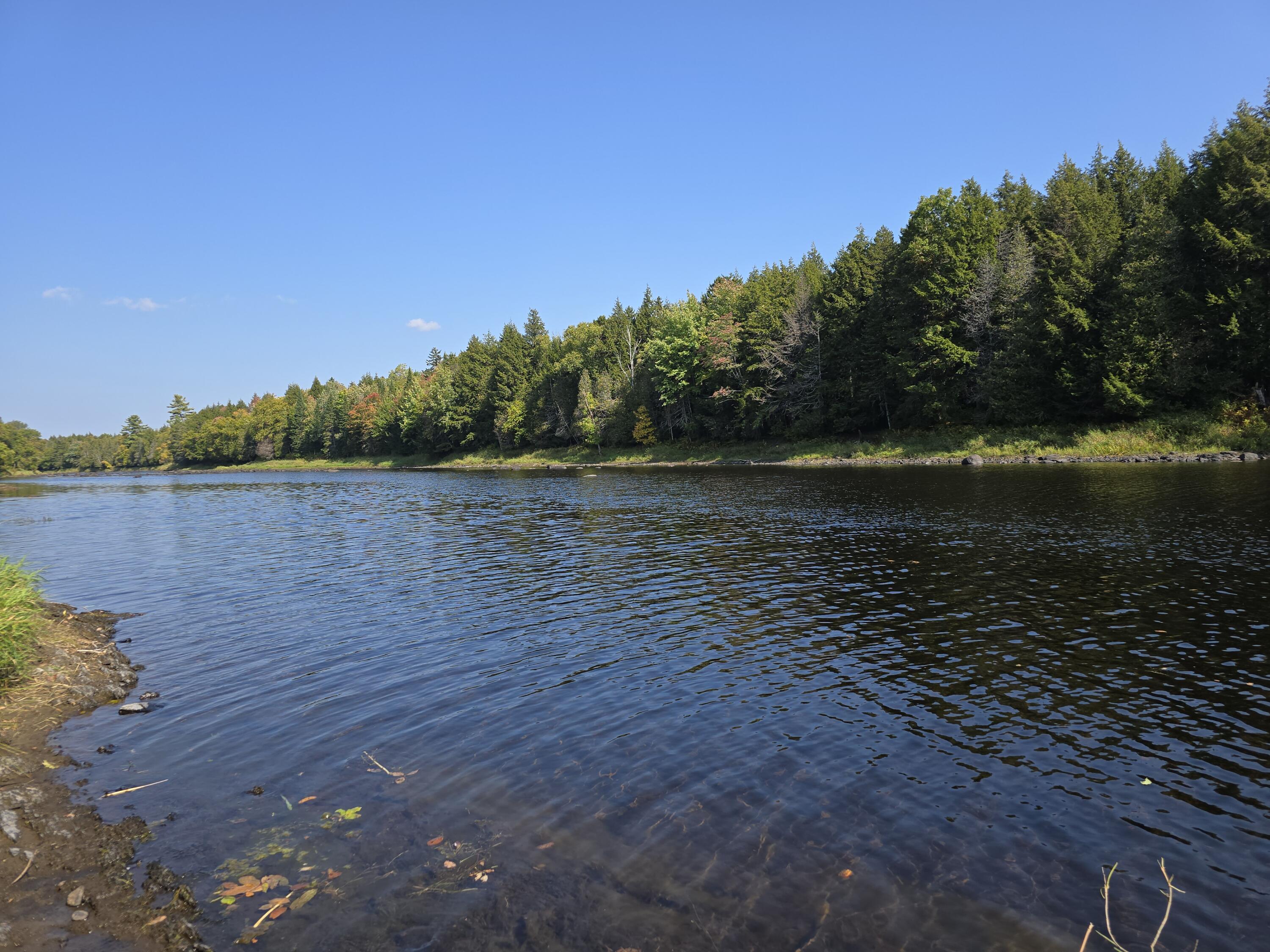 2251 Bancroft Road Bancroft, ME 04497 - Photo 4 of 17 20240917_135956