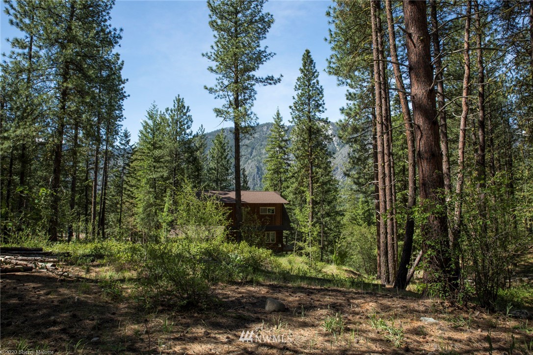 45 Bitterbrush Road Winthrop, WA 98862 - Photo 2 of 9