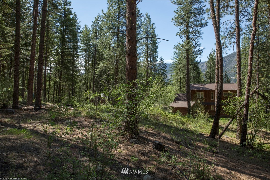 45 Bitterbrush Road Winthrop, WA 98862 - Photo 3 of 9