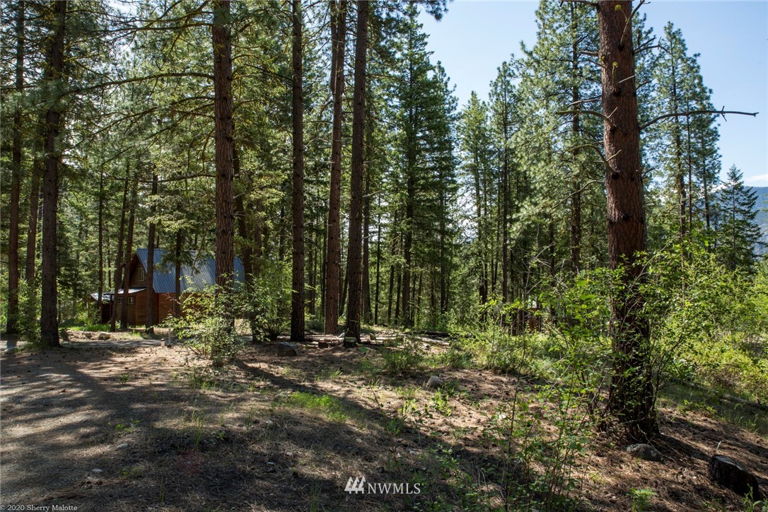 45 Bitterbrush Road Winthrop, WA 98862 - Photo 4 of 9