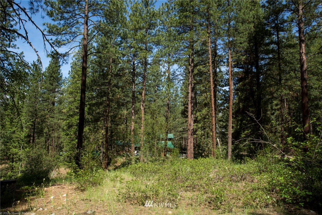 45 Bitterbrush Road Winthrop, WA 98862 - Photo 5 of 9