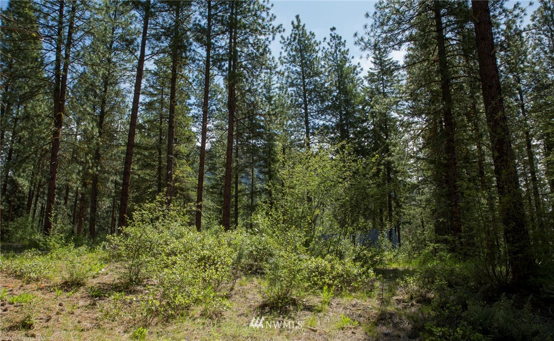 45 Bitterbrush Road Winthrop, WA 98862 - Photo 6 of 9