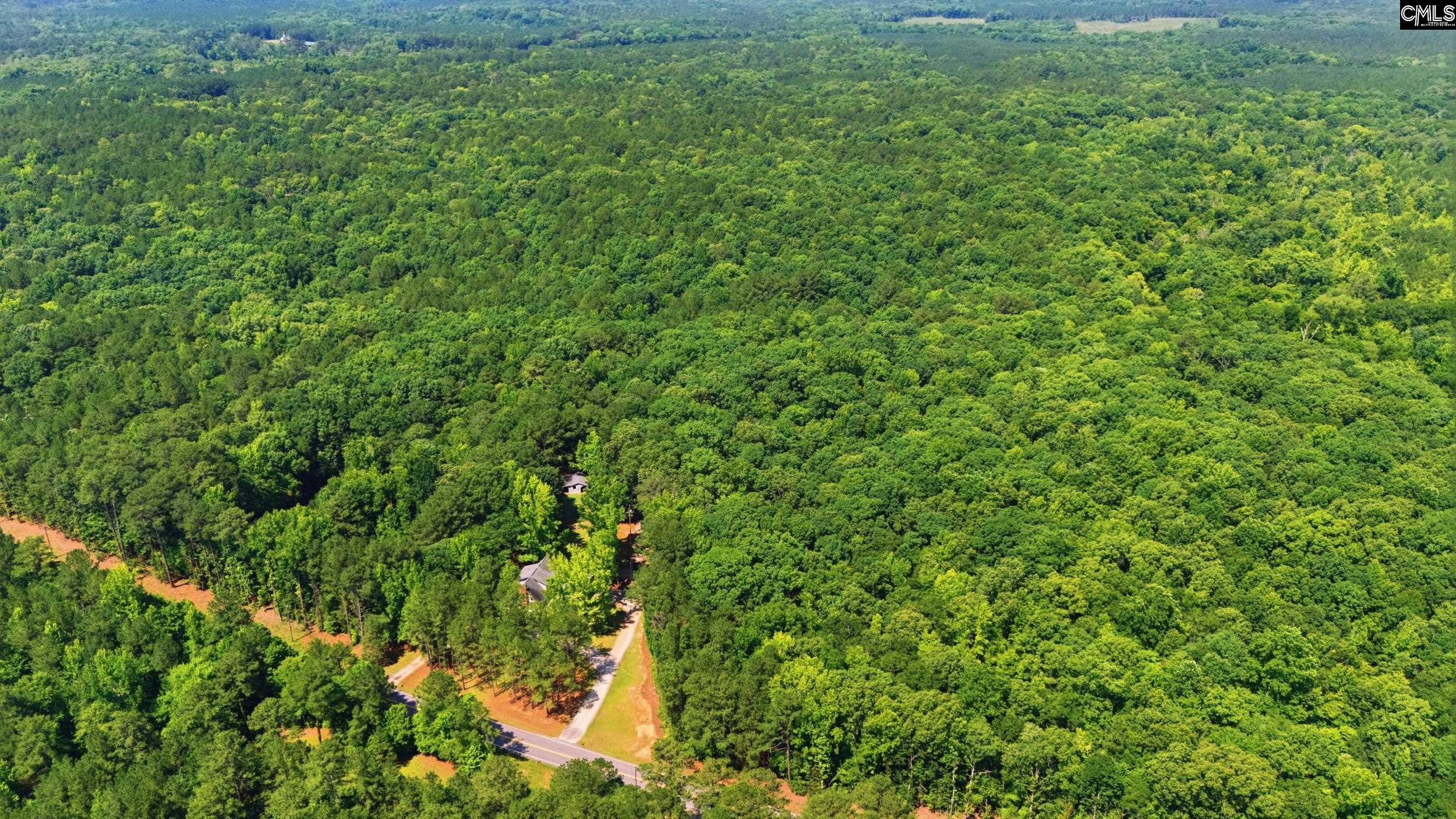 4324 Syrup Mill Road Ridgeway, SC 29130 - Photo 59 of 61 a view of a lush green forest