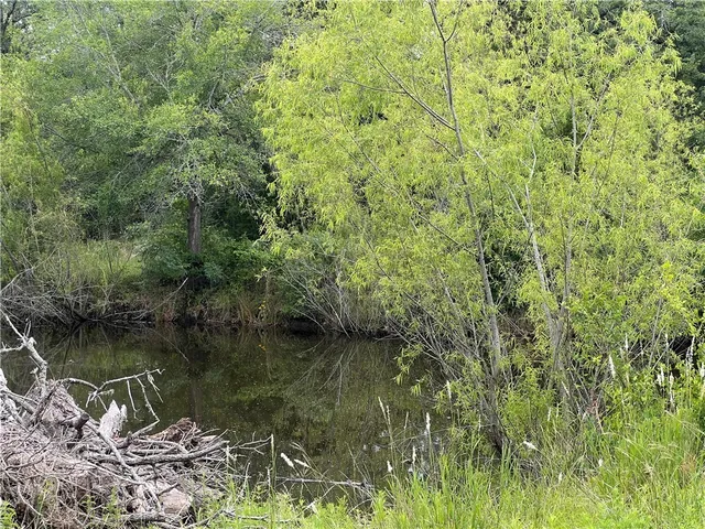 $49,900 | Lot 568 Deer Ledge, Caldwell, TX 77836